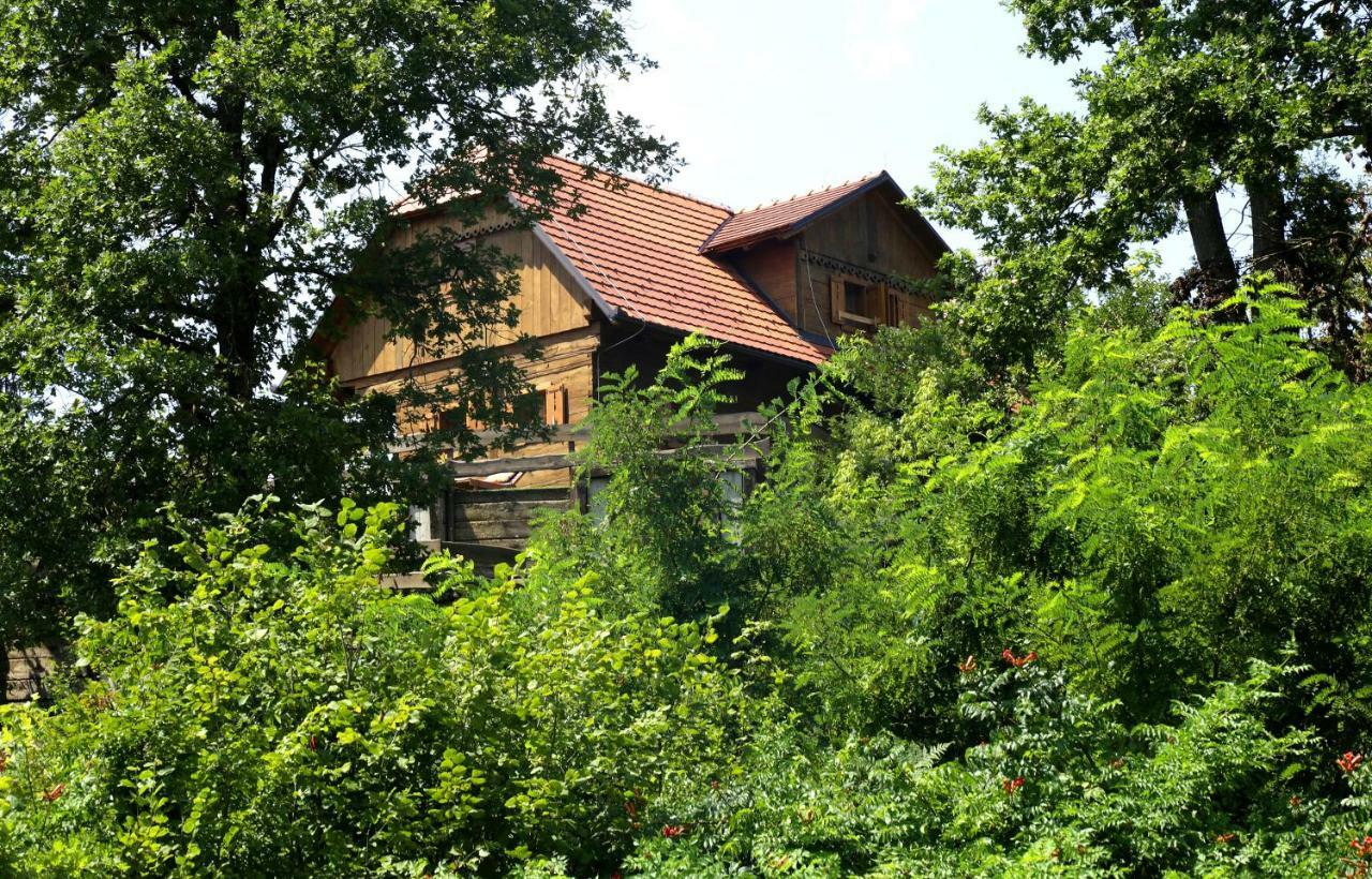Kuca Suncani Brijeg Pokupsko Kültér fotó